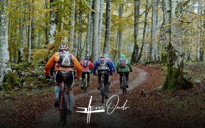 Explorando Navarra en Mountain Bike: Rutas por la Sierra de Urbasa