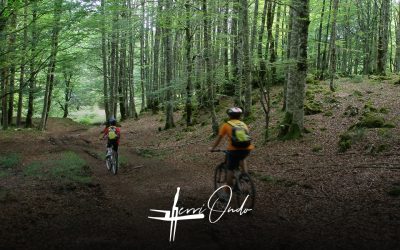 Explorando Navarra en Bicicleta: Turismo Activo para Todos los Niveles